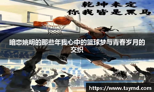 XBET星投官网