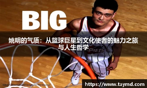 XBET星投官网