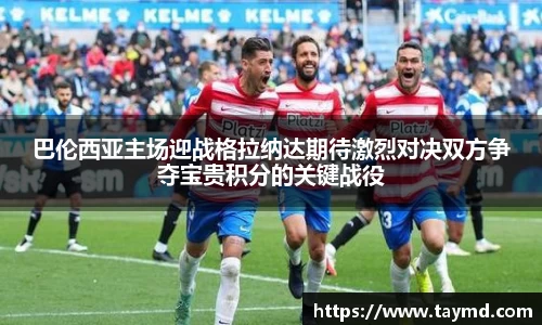 XBET星投官网