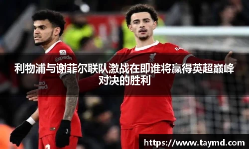 XBET星投官方网站