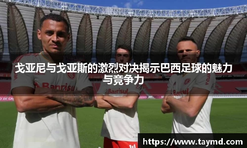 XBET星投官方网站